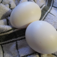 2 large eggs